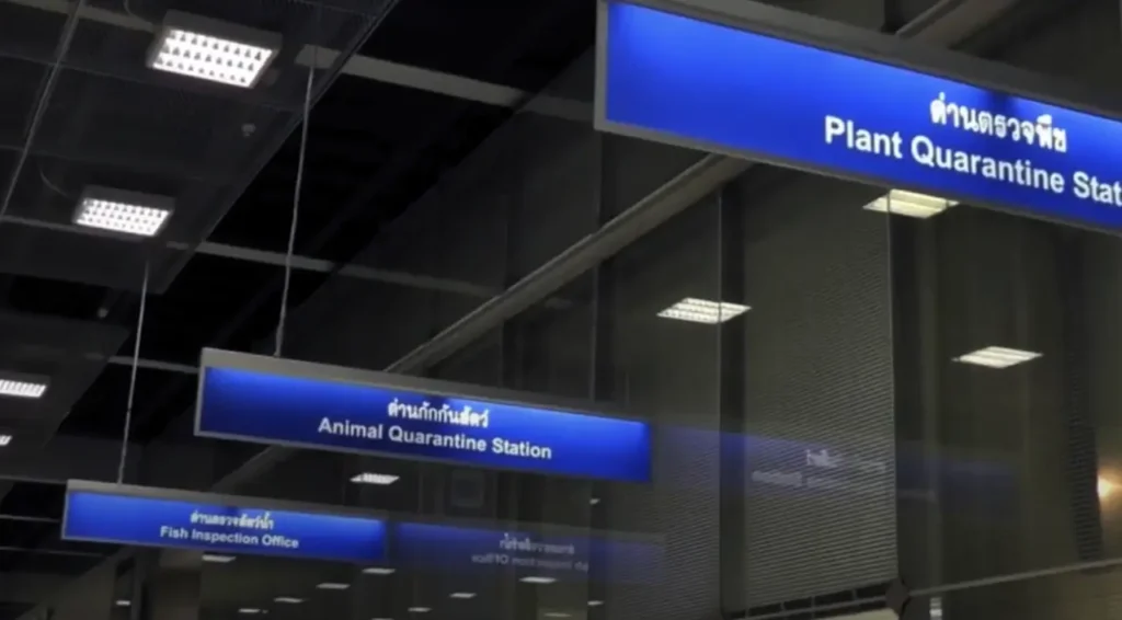 Key signs in Bangkok Airport's arrivals hall for traveler guidance.