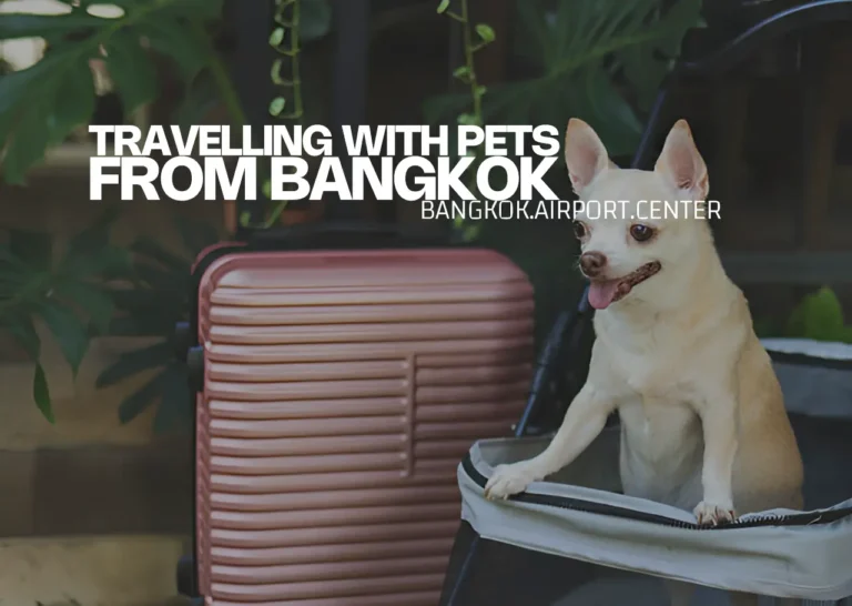 Article cover image about traveling with pets at Suvarnabhumi Airport.